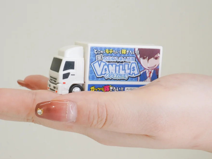 手乗りサイズの画像